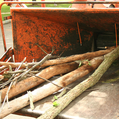 Integrity Tree Care & Landscaping